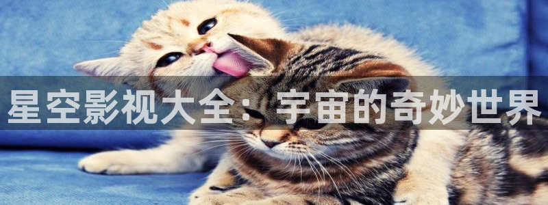 xyy4480青苹果影院：星空影视大全：宇宙的奇妙世界