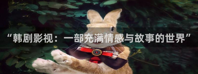 yy4480轮理：“韩剧影视：一部充满情感与故事的世界”
