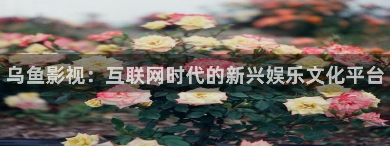 yyy4480青苹果电影院理论：乌鱼影视：互联网时代的新兴娱乐文化平台
