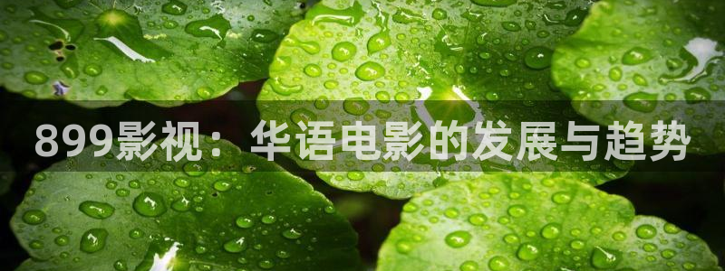 yy4480国产：899影视：华语电影的发展与趋势