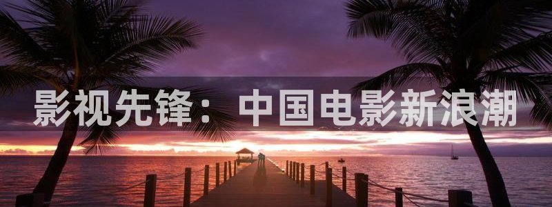 www.yy4480.com：影视先锋：中国电影新浪潮