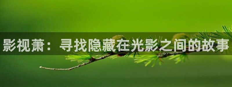 yy4480免费观看：影视萧：寻找隐藏在光影之间的故事
