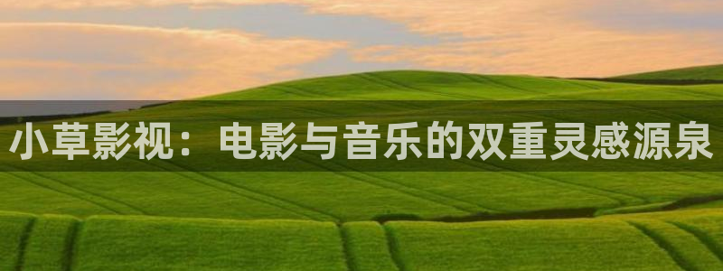 yy4480.com：小草影视：电影与音乐的双重灵感源泉