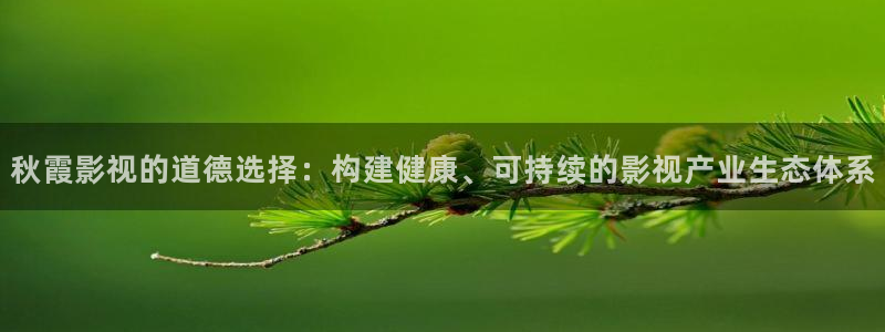 yy4480首播影院：秋霞影视的道德选择：构建健康、可持续的影视产业生态体系