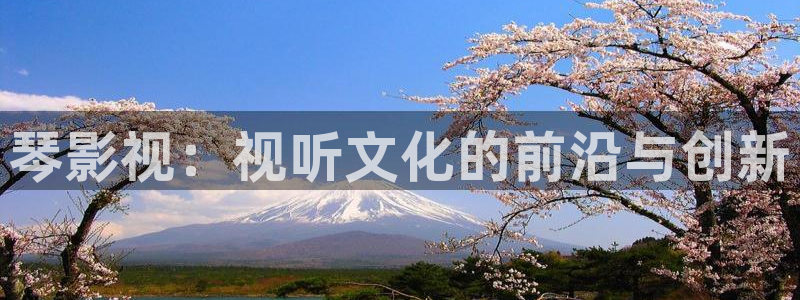 yy4480午夜理论：琴影视：视听文化的前沿与创新